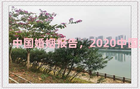 中国婚姻报告，2020中国婚姻报告