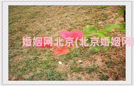 婚姻网北京(北京婚姻网站)