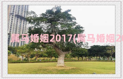 属马婚姻2017(属马婚姻2023成不成)
