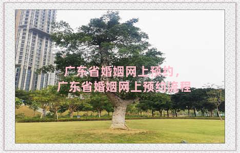 广东省婚姻网上预约，广东省婚姻网上预约流程