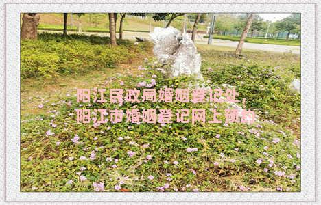 阳江民政局婚姻登记处，阳江市婚姻登记网上预约